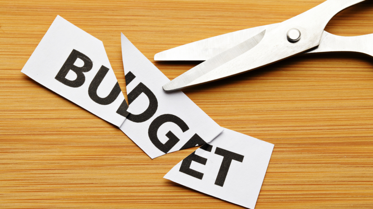 Budget cut