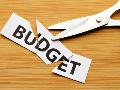 Budget cut